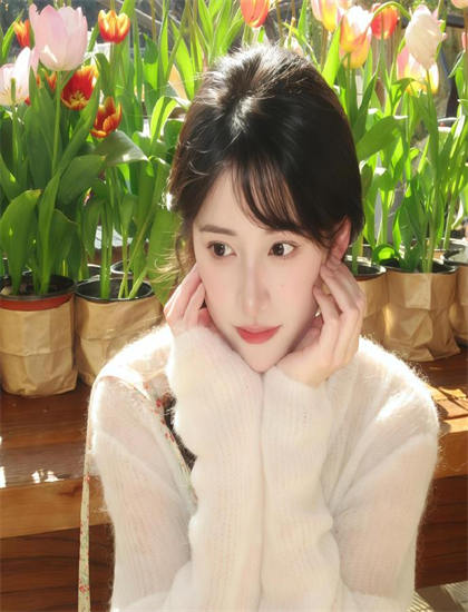 最新：《六尺巷》专业影评经典的：剧情结构、人物塑造、主题思想三重历史分析